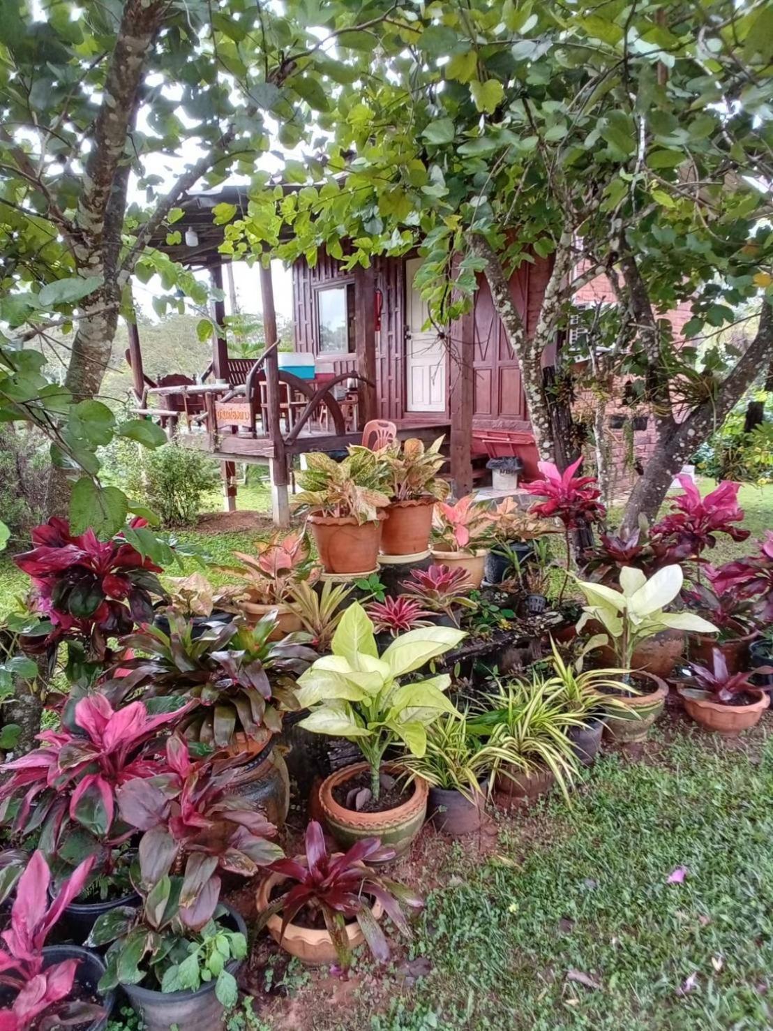 Phu Aram Khao Kho Resort Екстериор снимка